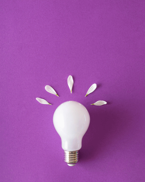 آیا دادن توت فرنگی به سگ ها مجاز است؟ 15 نکته مهم